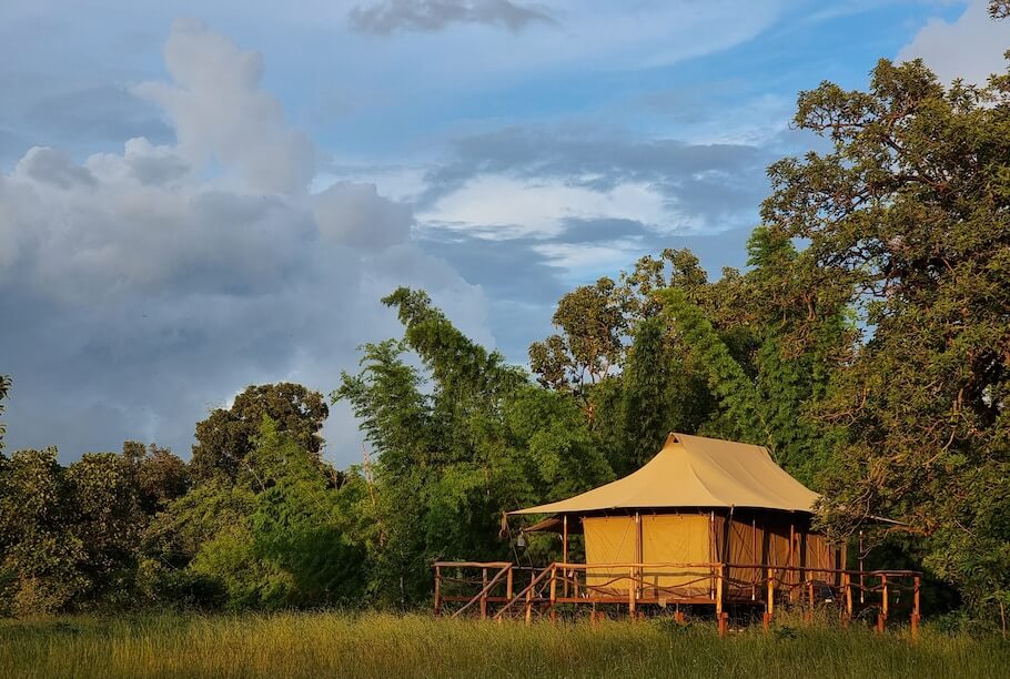 TUTC Bandhavgarh-01