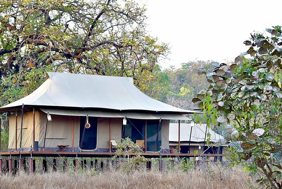 TUTC Bandhavgarh-05